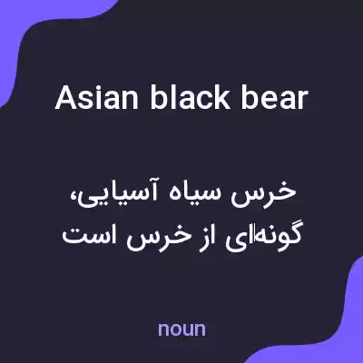 معنی asian black bear به فارسی معنی asian black bear به فارسی
