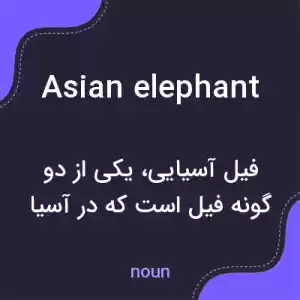 معنی asian elephant به فارسی