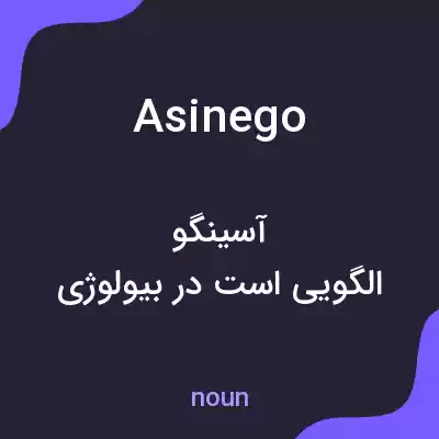 معنی asinego به فارسی