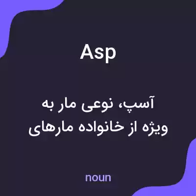 معنی asp به فارسی معنی asp به فارسی