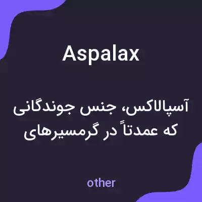 معنی aspalax به فارسی معنی aspalax به فارسی
