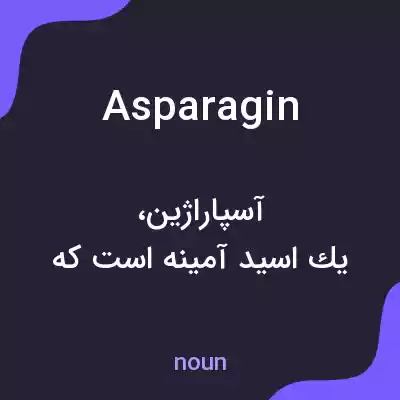 معنی asparagin به فارسی معنی asparagin به فارسی