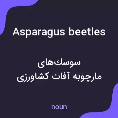معنی asparagus beetles به فارسی معنی asparagus beetles به فارسی