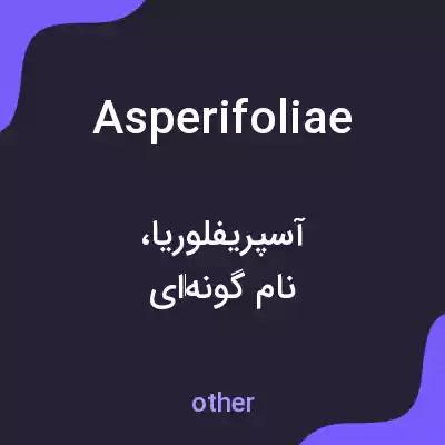 معنی asperifoliae به فارسی معنی asperifoliae به فارسی