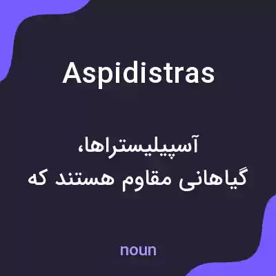 معنی aspidistras به فارسی معنی aspidistras به فارسی