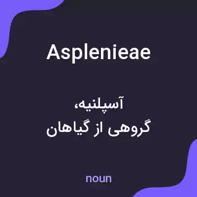 معنی asplenieae به فارسی معنی asplenieae به فارسی