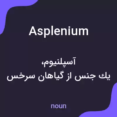 معنی asplenium به فارسی معنی asplenium به فارسی
