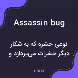 معنی assassin bug به فارسی