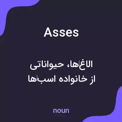 معنی asses به فارسی معنی asses به فارسی