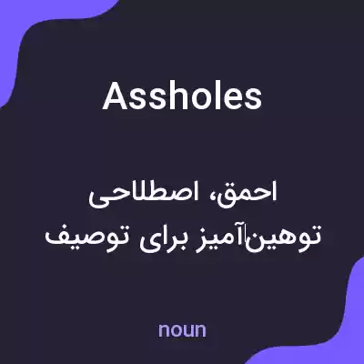 معنی assholes به فارسی معنی assholes به فارسی