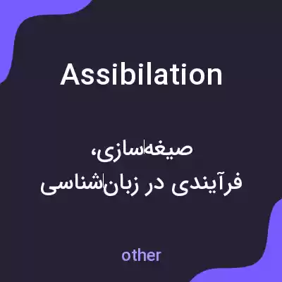 معنی assibilation به فارسی معنی assibilation به فارسی