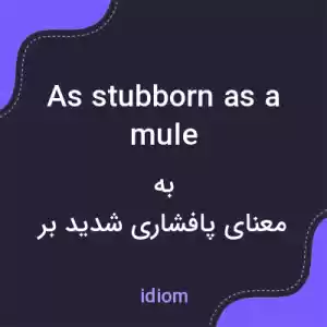 معنی as stubborn as a mule به فارسی معنی as stubborn as a mule به فارسی