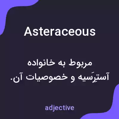 معنی asteraceous به فارسی معنی asteraceous به فارسی