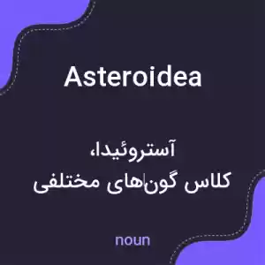 معنی asteroidea به فارسی معنی asteroidea به فارسی