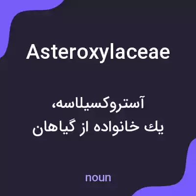 معنی asteroxylaceae به فارسی معنی asteroxylaceae به فارسی