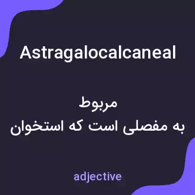 معنی astragalocalcaneal به فارسی