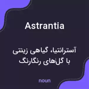 معنی astrantia به فارسی معنی astrantia به فارسی