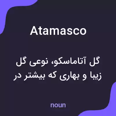 معنی atamasco به فارسی معنی atamasco به فارسی