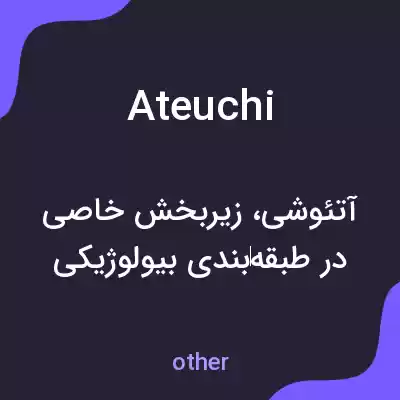 معنی ateuchi به فارسی معنی ateuchi به فارسی