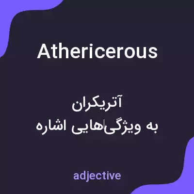 معنی athericerous به فارسی معنی athericerous به فارسی