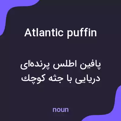 معنی atlantic puffin به فارسی معنی atlantic puffin به فارسی
