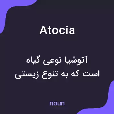 معنی atocia به فارسی معنی atocia به فارسی