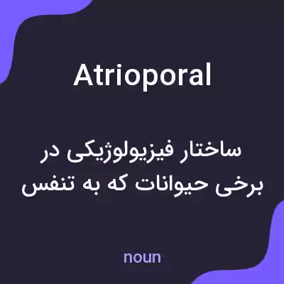 معنی atrioporal به فارسی معنی atrioporal به فارسی