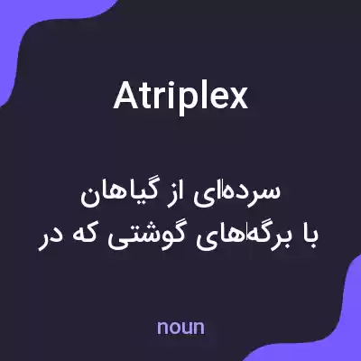 معنی atriplex به فارسی معنی atriplex به فارسی