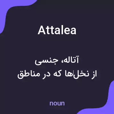 معنی attalea به فارسی معنی attalea به فارسی