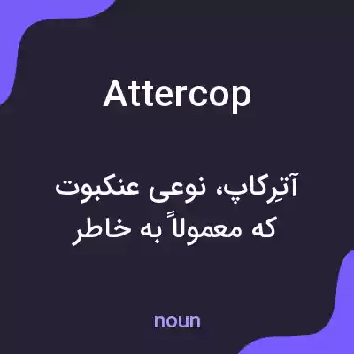 معنی attercop به فارسی معنی attercop به فارسی
