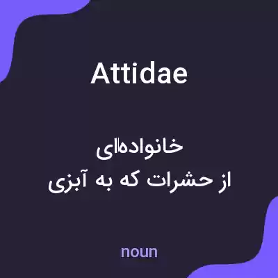 معنی attidae به فارسی معنی attidae به فارسی