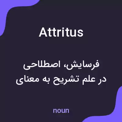 معنی attritus به فارسی معنی attritus به فارسی