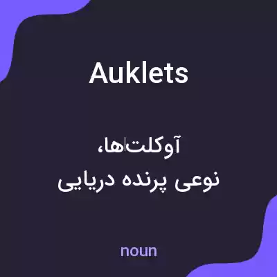 معنی auklets به فارسی