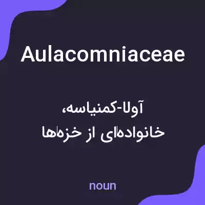معنی aulacomniaceae به فارسی معنی aulacomniaceae به فارسی