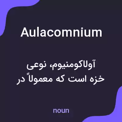 معنی aulacomnium به فارسی معنی aulacomnium به فارسی