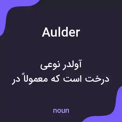 معنی aulder به فارسی معنی aulder به فارسی