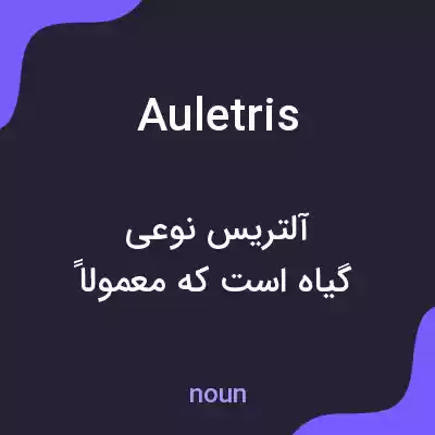 معنی auletris به فارسی معنی auletris به فارسی