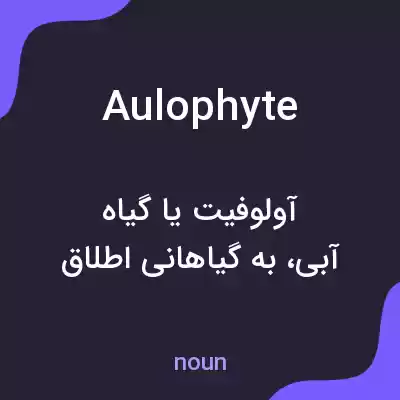 معنی aulophyte به فارسی معنی aulophyte به فارسی