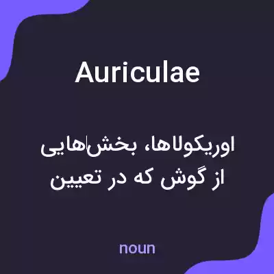 معنی auriculae به فارسی معنی auriculae به فارسی