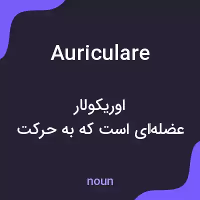 معنی auriculare به فارسی معنی auriculare به فارسی