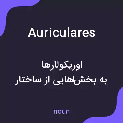 معنی auriculares به فارسی معنی auriculares به فارسی