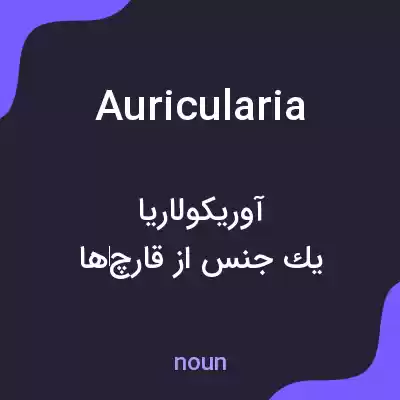 معنی auricularia به فارسی معنی auricularia به فارسی