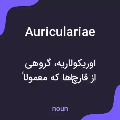 معنی auriculariae به فارسی معنی auriculariae به فارسی