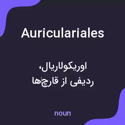 معنی auriculariales به فارسی معنی auriculariales به فارسی