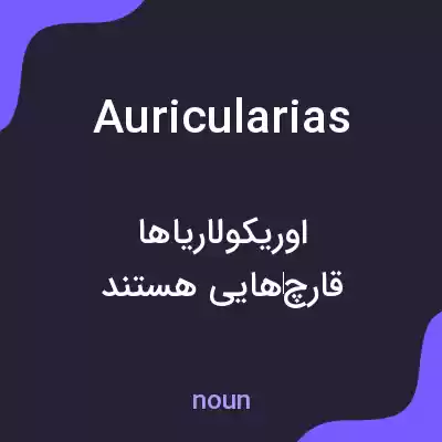 معنی auricularias به فارسی معنی auricularias به فارسی