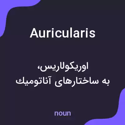 معنی auricularis به فارسی معنی auricularis به فارسی
