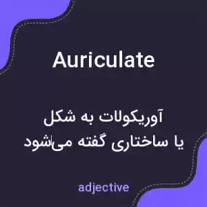 معنی auriculate به فارسی