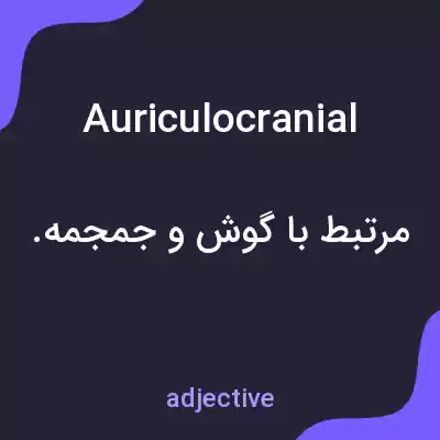 معنی auriculocranial به فارسی معنی auriculocranial به فارسی