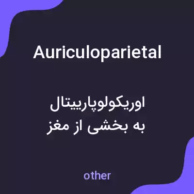 معنی auriculoparietal به فارسی معنی auriculoparietal به فارسی