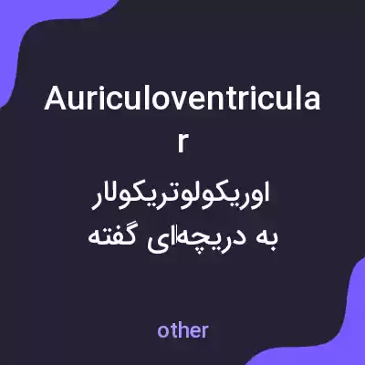 معنی auriculoventricular به فارسی معنی auriculoventricular به فارسی